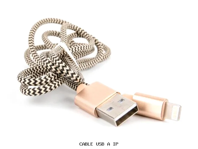 CABLE USB A IP